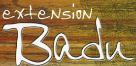 extension BaduS