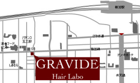 GRAVIDE Hair Laboւ̒n}