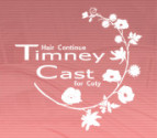 Timney CastS