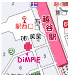 DiMPlEへの地図