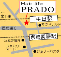Hair Life PRADOւ̒n}