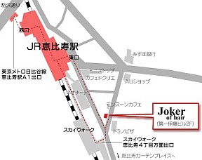Joker of hairւ̒n}